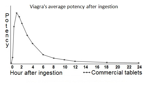 Diagram showing the average duration of action of Viagra